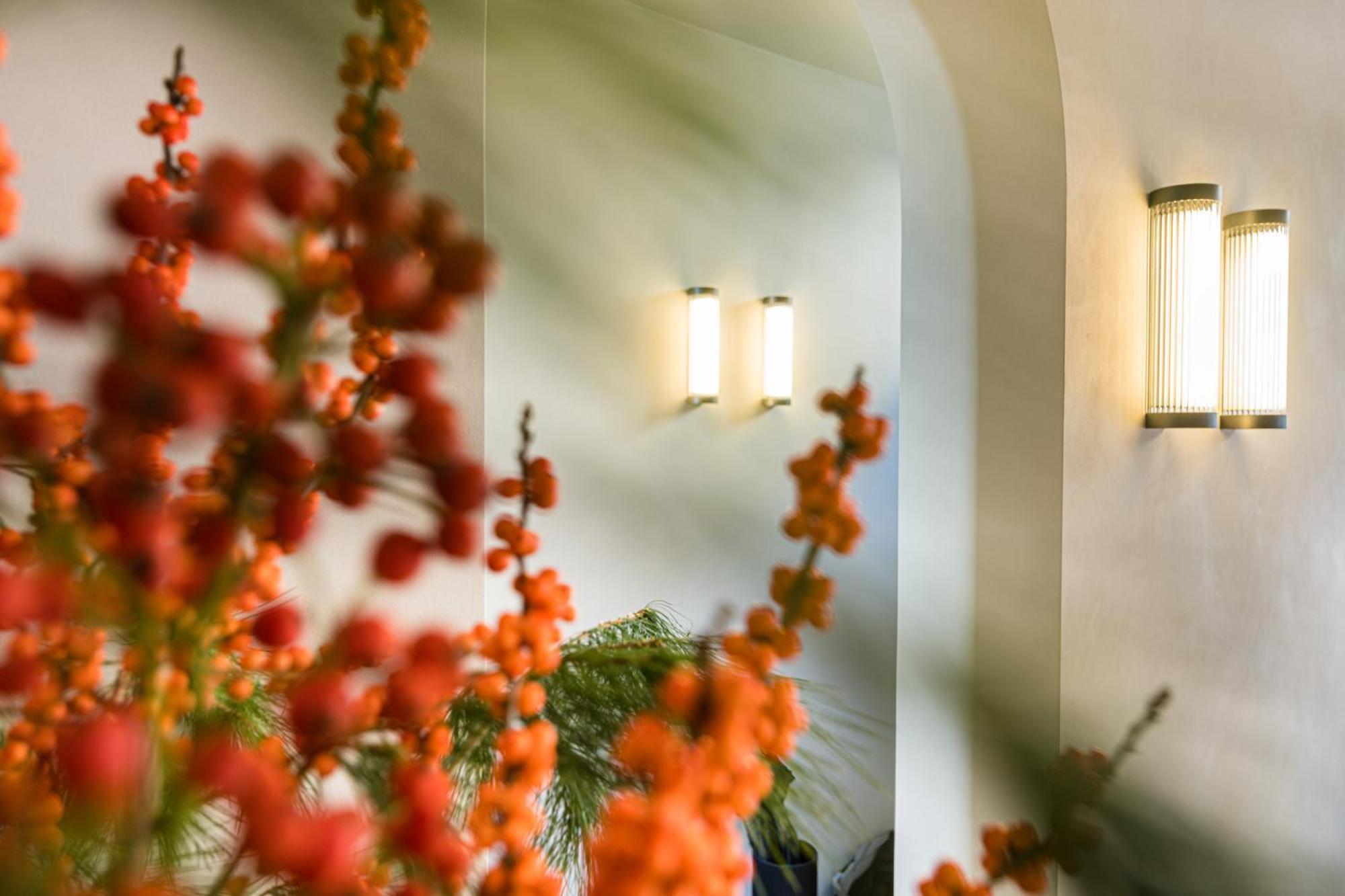Bed and Breakfast Istoire Boutique Brujas Exterior foto